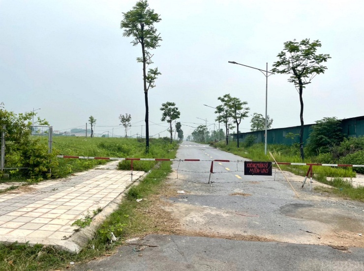 Bán chui dự án tại Mê Linh, hai doanh nghiệp BĐS Hà Nội bị phạt - 1
