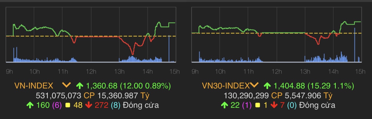 Kinh doanh thụt lùi, doanh nghiệp nhà Cường Đô la đang ôm nợ hàng nghìn tỷ - 1