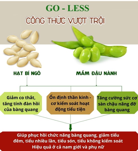 Cứ 1 tiếng lại buồn tiểu 1 lần, tiểu đêm 4 - 5 lần là bệnh gì - Chuyên gia chỉ cách khắc phục - 2