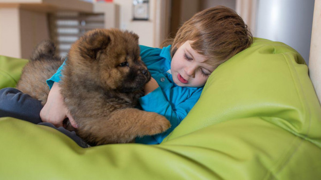 Viêm gan cấp tính bí ẩn ở trẻ em có thể do lây từ chó cảnh - 1