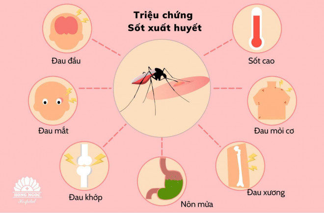 7 quan niệm sai lầm về sốt xuất huyết khiến bệnh dễ trở nặng - 1