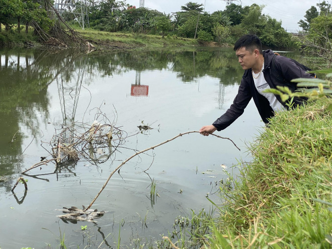 Lập đoàn kiểm tra nguyên nhân cá chết hàng loạt trên sông Bàu Giang - 2