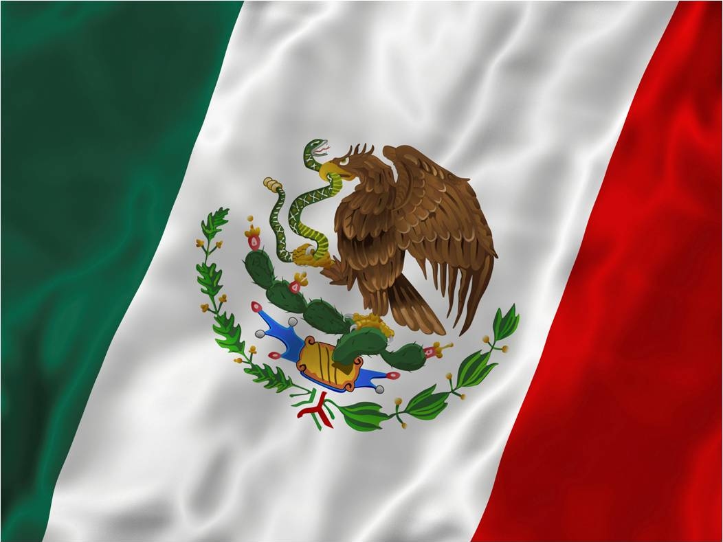 Loại cây dại nổi tiếng nhất Mexico, xuất hiện trong cả quốc kỳ nước này - 1