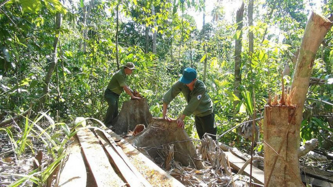 Ủy ban kiểm tra tỉnh Phú Yên kỷ luật nhiều cán bộ - 1