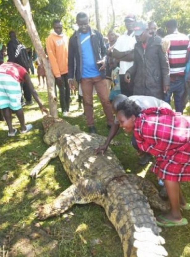 Kenya: Cá sấu khổng lồ ăn thịt bé trai, dân làng giận dữ vây bắt, trút cơn thịnh nộ - 1