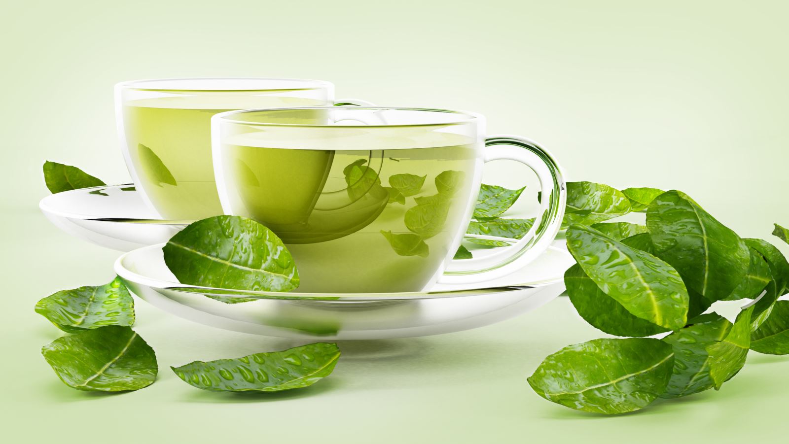 Điều cần tránh khi uống trà xanh để không gây hại sức khỏe - 1