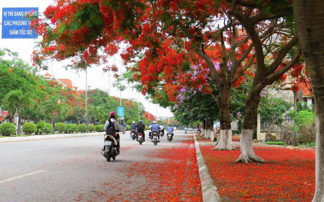 Check-in những điểm ăn và chơi khó cưỡng ở Hải Phòng - 23