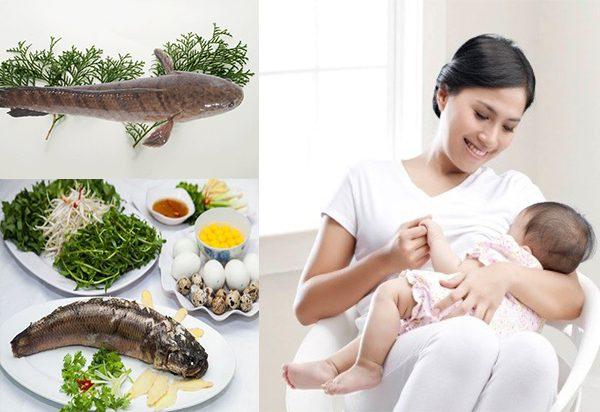 Bà đẻ ăn được cá gì để tốt cho sức khỏe sau sinh? - 11