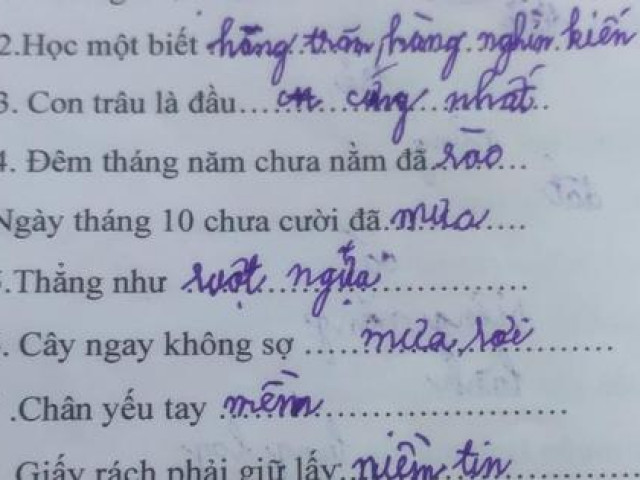 Học sinh cấp 1 làm bài tập tiếng Việt, mới câu đầu tiên mà phụ huynh đã ”cười ngất tới 3 ngày”