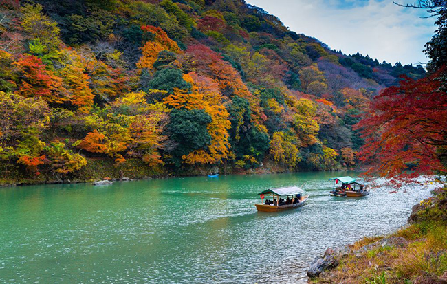 Nếu bạn đến thăm Kyoto vào mùa thu, bạn sẽ ngạc nhiên bởi màu vàng đỏ của lá cây mable và màu xanh của những hồ nước. Trong những cơn gió se lạnh, bạn có thể ngồi trong một quán trà ấm cúng cùng người yêu và đắm mình trong cảm giác giao mùa.
