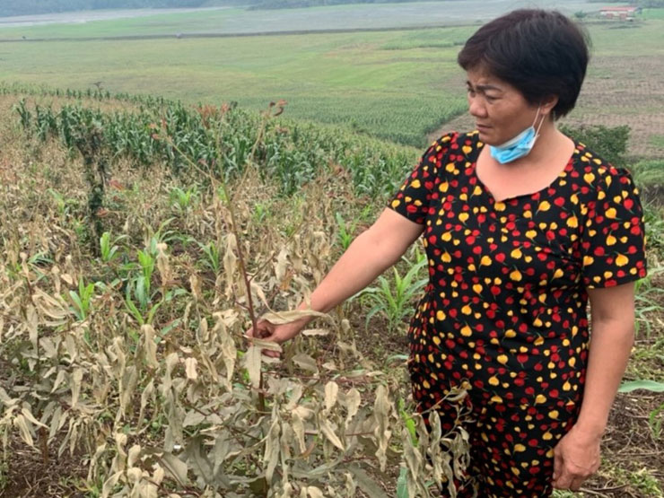 Vụ không khí có mùi lạ, người ngất xỉu, cây cối xác xơ: Hít phải axit sunfuric nguy hiểm thế nào? - 1