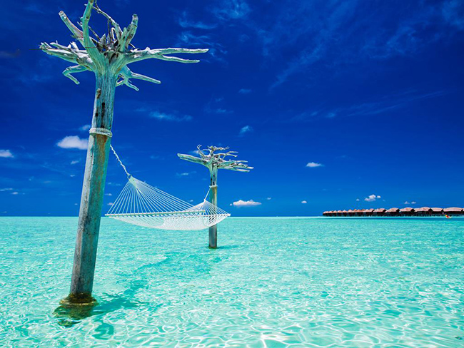 Thiên đường Maldives vô cùng hấp dẫn đối với nhiều du khách, không chỉ bởi phong cảnh tuyệt đẹp mà bởi những dịch vụ rất hoàn hảo trong các khu nghỉ dưỡng tại đó.  
