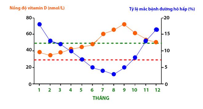 Trẻ thấp lùn, chậm phát triển chiều cao và những nguy cơ “rình rập” khi thiếu Vitamin D3 - 2