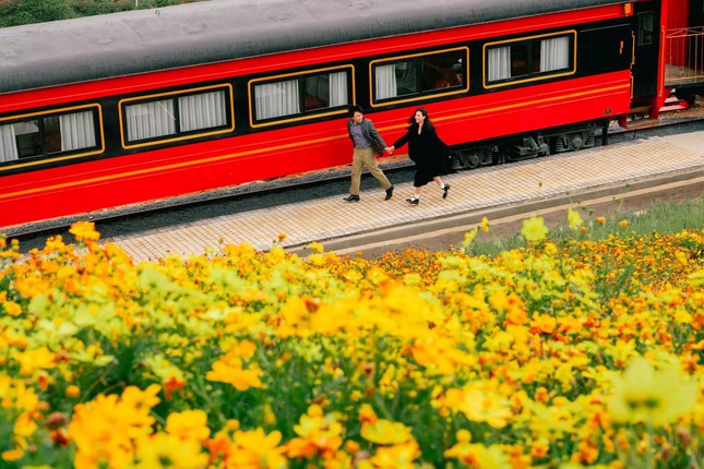Địa điểm check-in mới toanh tại Đà Lạt: Khung cảnh đoàn tàu giữa cánh đồng hoa đẹp tựa trời Âu - 10