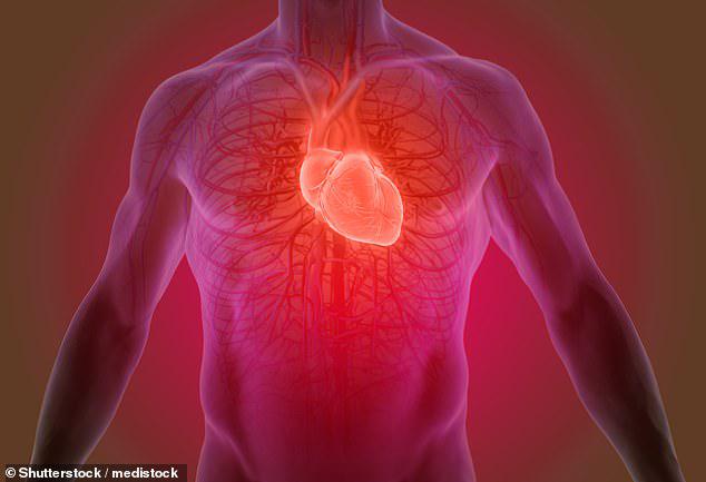 Gel thần kỳ có thể vá mô tổn thương người bị bệnh tim - 1