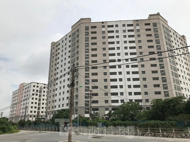 Gà, vịt ''nương tựa'' khu chung cư tái định cư trăm tỷ ở Hà Nội - 1