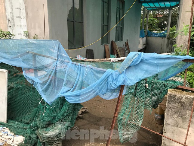 Gà, vịt ''nương tựa'' khu chung cư tái định cư trăm tỷ ở Hà Nội - 11