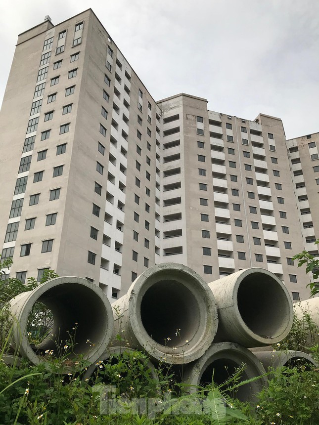 Gà, vịt ''nương tựa'' khu chung cư tái định cư trăm tỷ ở Hà Nội - 3