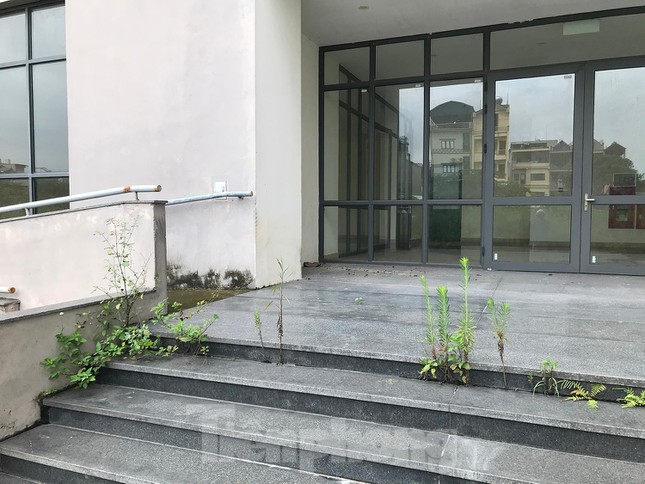 Gà, vịt ''nương tựa'' khu chung cư tái định cư trăm tỷ ở Hà Nội - 4