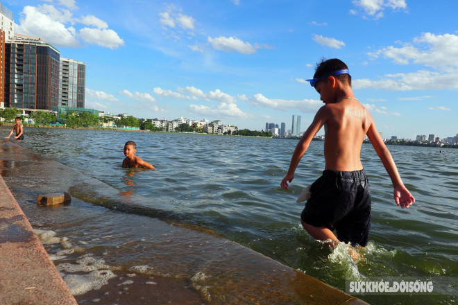 Nắng nóng 40 độ C, người Hà Nội dắt thú cưng xuống Hồ Tây giải nhiệt - 1
