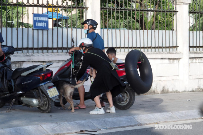 Nắng nóng 40 độ C, người Hà Nội dắt thú cưng xuống Hồ Tây giải nhiệt - 7