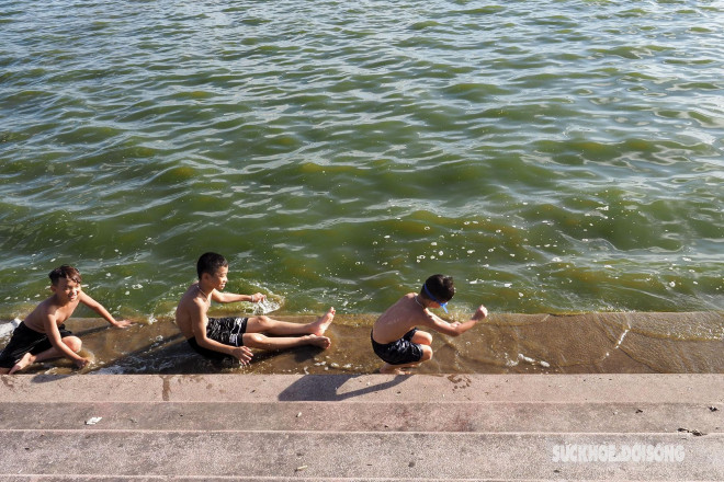 Nắng nóng 40 độ C, người Hà Nội dắt thú cưng xuống Hồ Tây giải nhiệt - 11