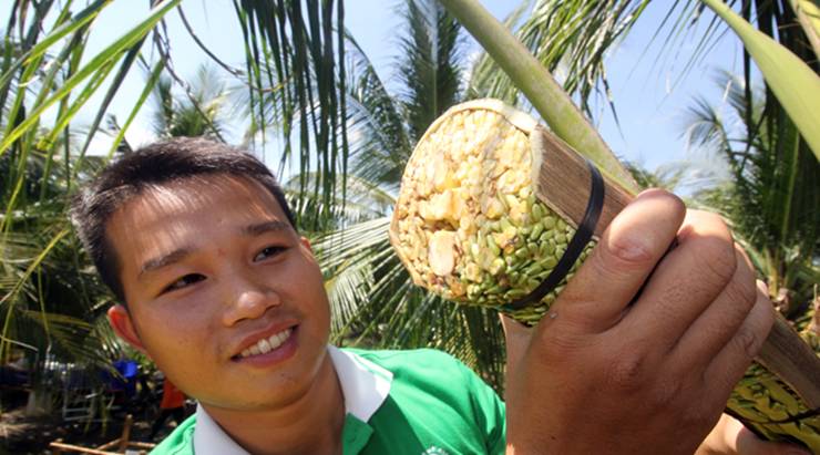 Ở Việt Nam có những nghề thu nhập cao so với mặt bằng chung nhưng lại thiếu người làm. Ví dụ như nghề massage hoa dừa.
