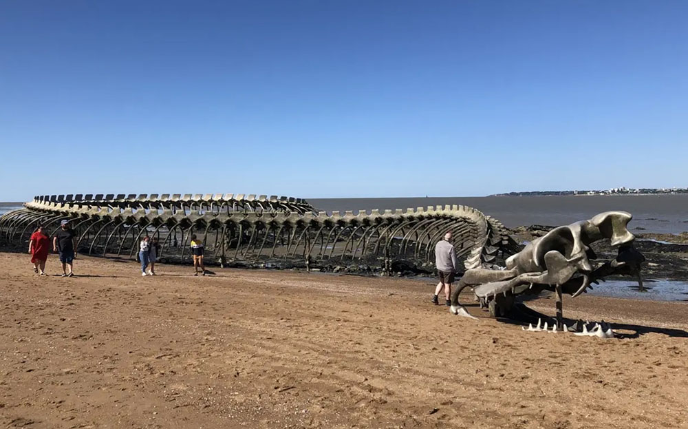 Bộ xương rắn khổng lồ nổi bật giữa bãi biển hút khách du lịch - 4