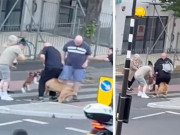 Clip: Chủ nhân la hét cố gắng bảo vệ thú cưng khi bị tấn công trên phố