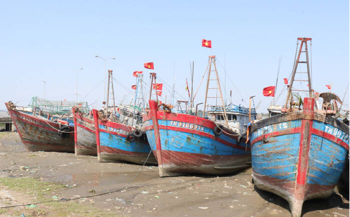 Giá xăng dầu tại Việt Nam tăng phi mã, đắt chưa từng có: 50% tàu cá ngừng hoạt động - 1