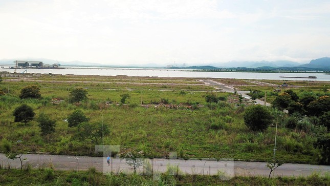 Khu đô thị gần 100ha &#39;&#39;đất vàng&#39;&#39; ở Quảng Ninh bỏ hoang, cỏ mọc um tùm - 8