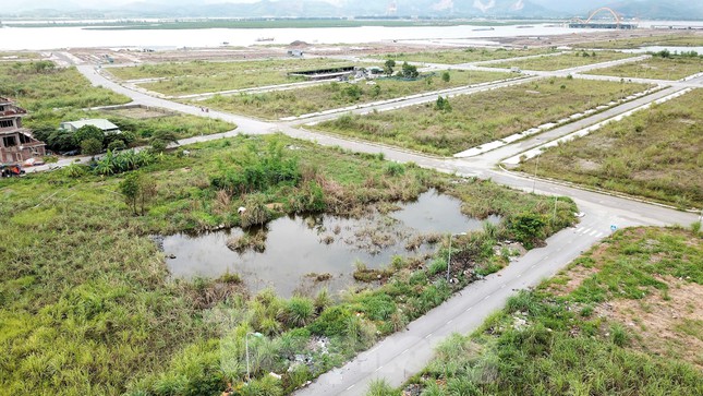 Khu đô thị gần 100ha &#39;&#39;đất vàng&#39;&#39; ở Quảng Ninh bỏ hoang, cỏ mọc um tùm - 12