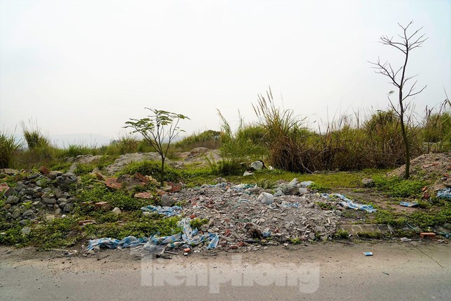 Khu đô thị gần 100ha &#39;&#39;đất vàng&#39;&#39; ở Quảng Ninh bỏ hoang, cỏ mọc um tùm - 3