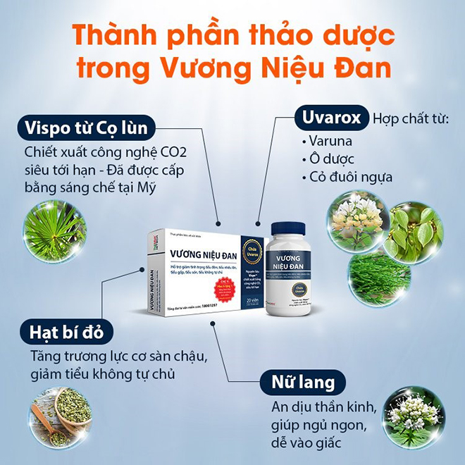 Chọn đúng “thứ này” – cụ ông 88 tuổi bị tiểu đêm, tiểu són nay đã cải thiện, sống khỏe, ngủ ngon - 5