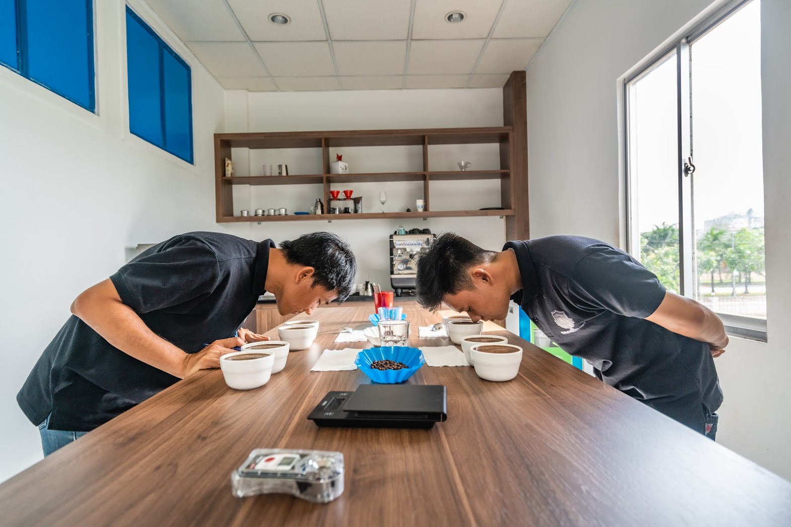 Nâng giá trị cà phê cảnh quan dự án VnSAT - 3