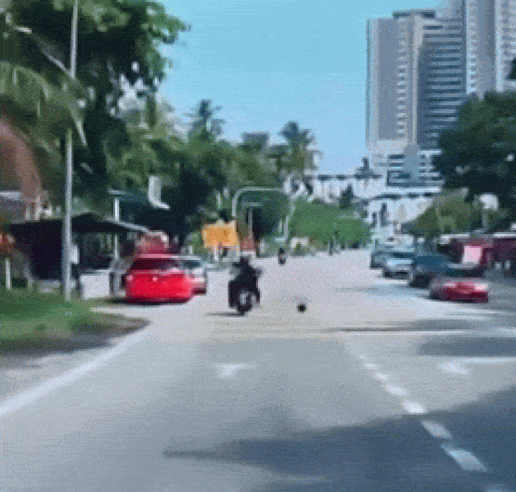Video: Đang đi xe máy bị quả dừa rơi trúng đầu ngã lăn ra đường - 1