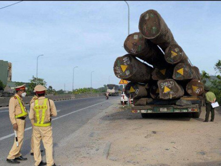Xe chở gỗ ”khủng” đi trót lọt qua nhiều tỉnh, thành: CSGT Hải Phòng nói gì?