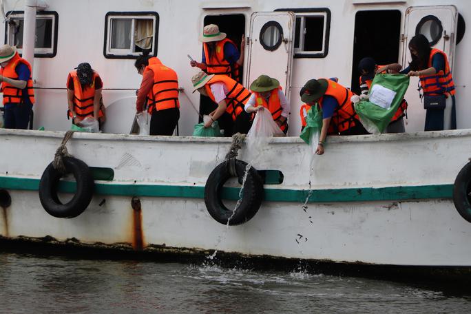 Cận cảnh thả 44.000 con cá lăng và 330.000 thuỷ sản nước ngọt xuống sông Sài Gòn - 1