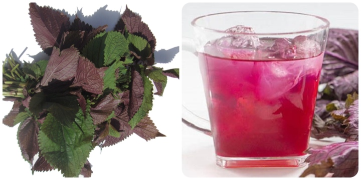 Loại rau thơm quen thuộc bán đầy chợ, ăn vào đẹp da, ngừa ung thư - 3