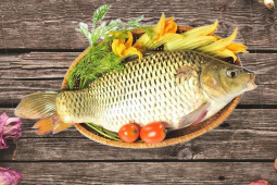 Ăn cá mỗi ngày nhưng bạn đã biết những loại cá nào có tác dụng chữa bệnh?