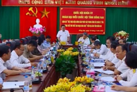 Cần làm rõ việc nợ thuế hơn 2.400 tỷ đồng ở Đồng Nai