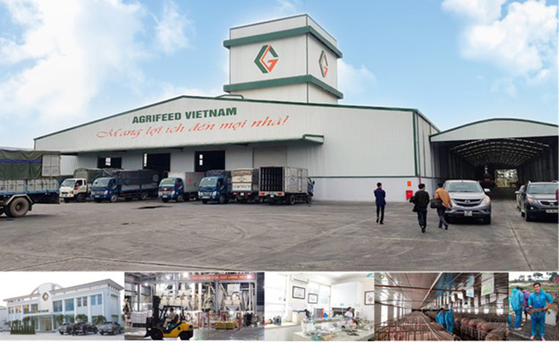 AGRIFEED VIETNAM vinh dự được vinh danh Top 10 Thương hiệu vàng Việt Nam 2023 - 2