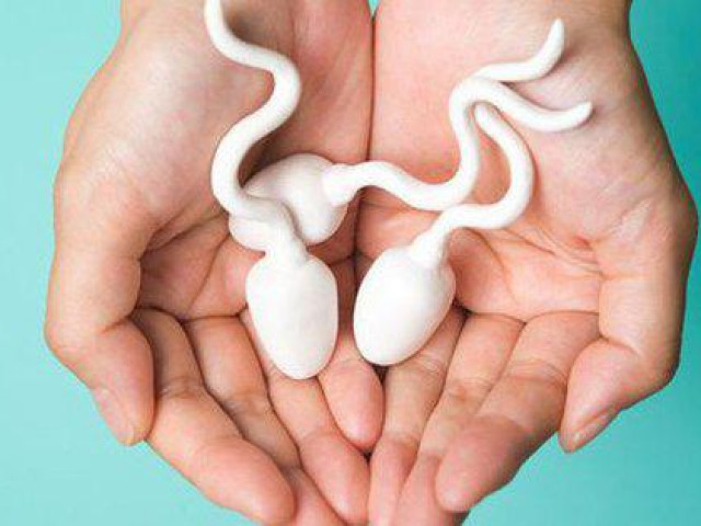 Số lượng tinh trùng có quyết định đến khả năng sinh con của cặp đôi?