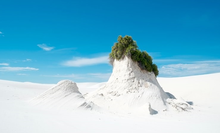Khám phá sa mạc cát thạch cao mát lạnh, trắng như tuyết ở Mỹ - 1
