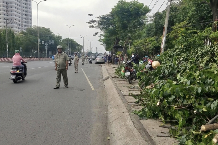 Xe điên lao lên vỉa hè tông trúng 2 nhân viên cây xanh ở TP HCM - 1