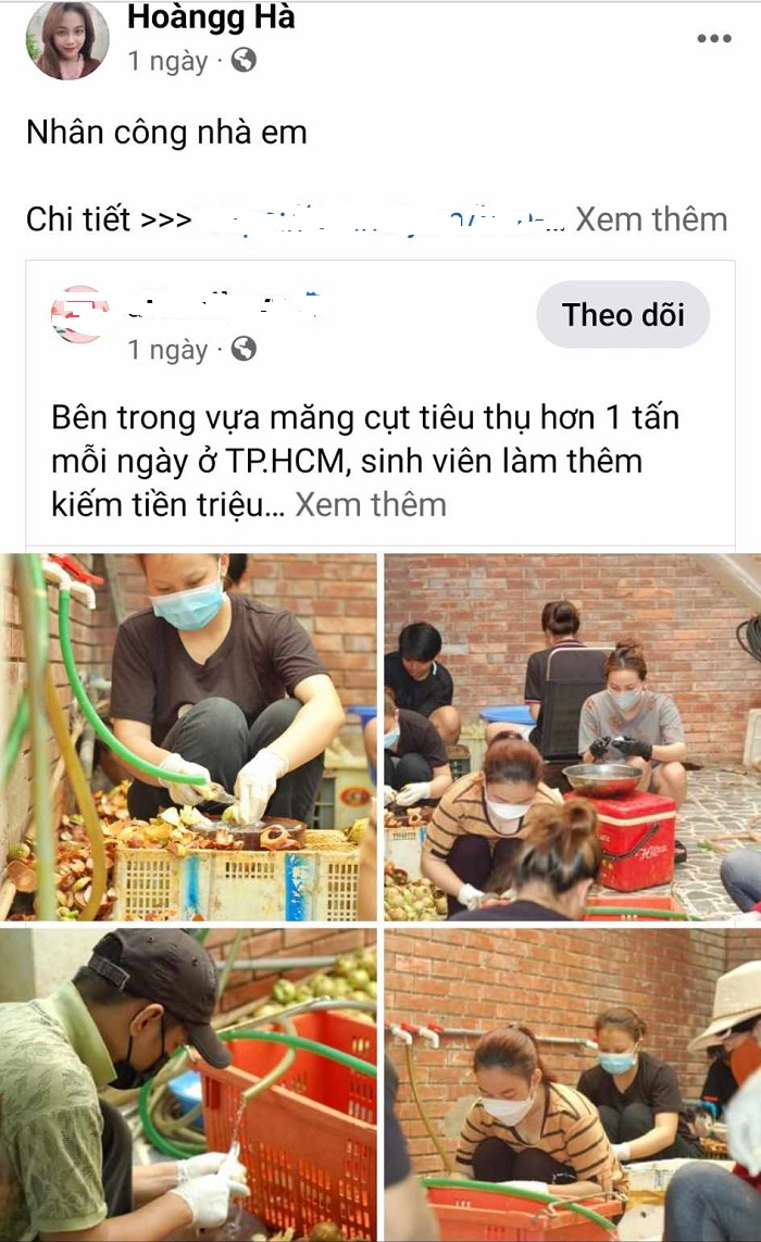 Bất ngờ, công việc “hot trend” tại Việt Nam cho thu nhập nửa triệu mỗi ngày - 3
