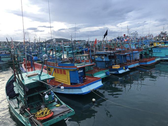 Chủ tịch UBND tỉnh Kiên Giang tự kiểm điểm trách nhiệm vì tàu cá vi phạm IUU - 1