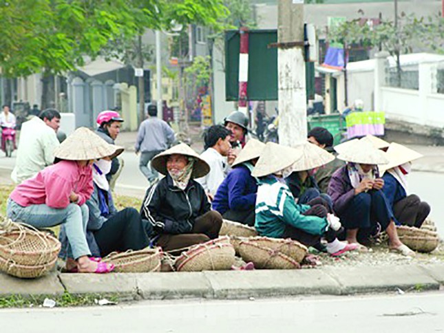 Lao động tự do sẽ được bảo vệ bằng bảo hiểm tai nạn - 1