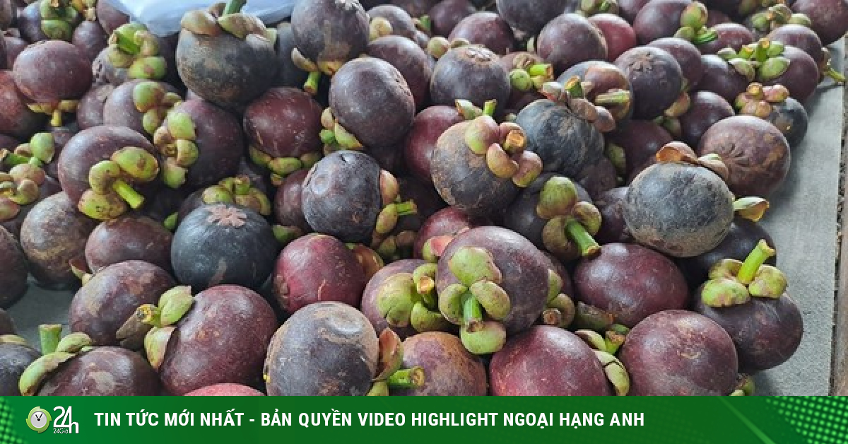 Why is the mangosteen considered the queen of fruits?