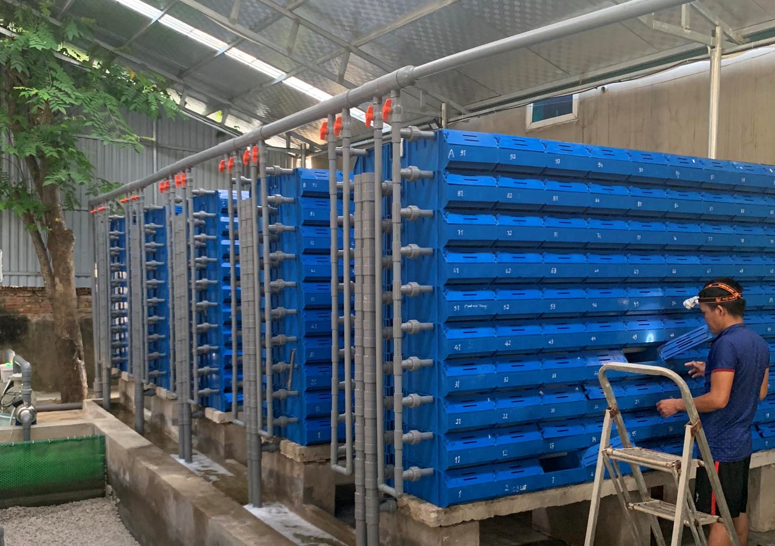 9x Thanh Hóa thu hàng trăm triệu/năm nhờ nuôi con vật này trong hộp nhựa - 1
